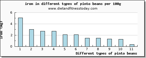 pinto beans iron per 100g
